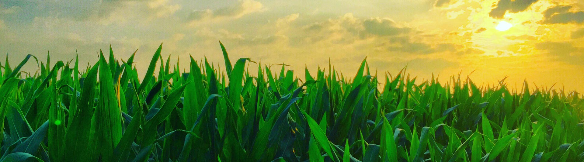 Vermont Agricultural Helicopter Services